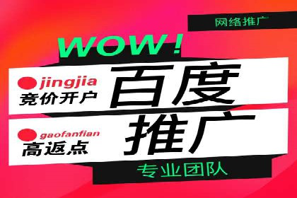 百度竞价广告成功案例：如何实现ROI最大化
